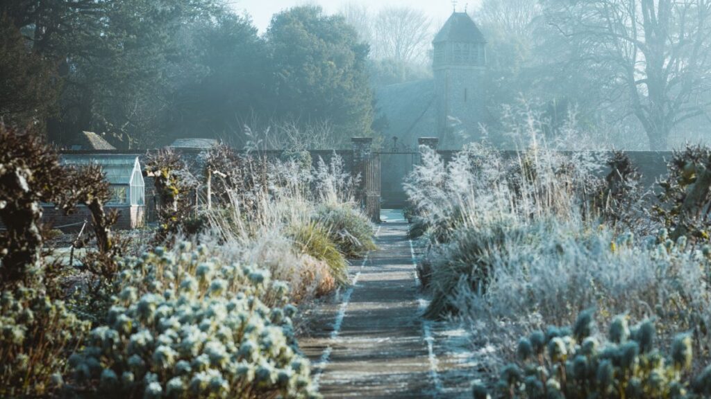 8 Tips For How to Winterize Your Flower Bed Petals & Gardens