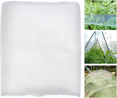 mosquito net garden