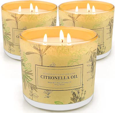 citronella oil candles