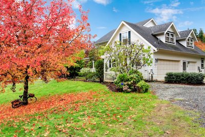 Trees That Look Good In Fall