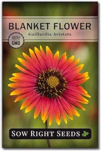 blanket flower seeds