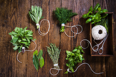 How to Dry Herbs Naturally