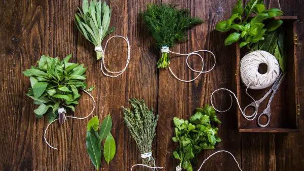 How to Dry Herbs Naturally