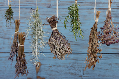 How to Dry Herbs Naturally