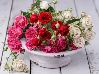 How to Create a Beautiful Non Traditional Bouquet for Valentine’s Day