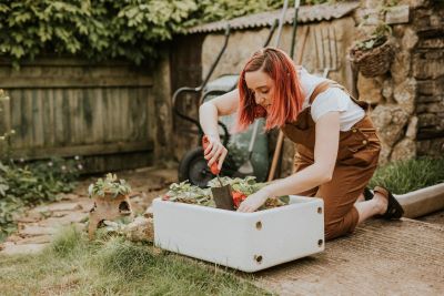 Microgardening Common Problems