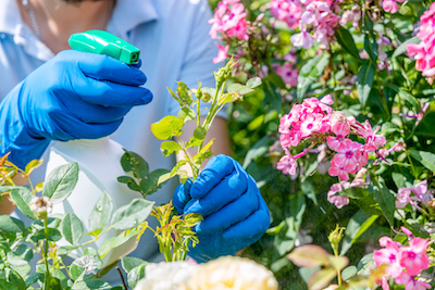 Pest Control for Microgardens