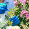 Preventing Microgarden Pests