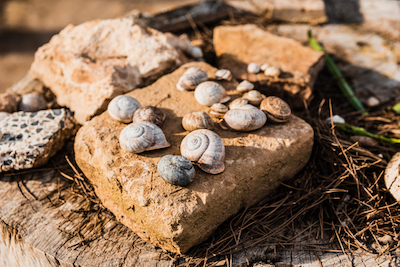 how to make a rock garden without plants