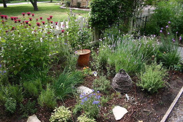 A thriving vegetable garden with aromatic herbs like basil, mint, and thyme planted alongside the crops.