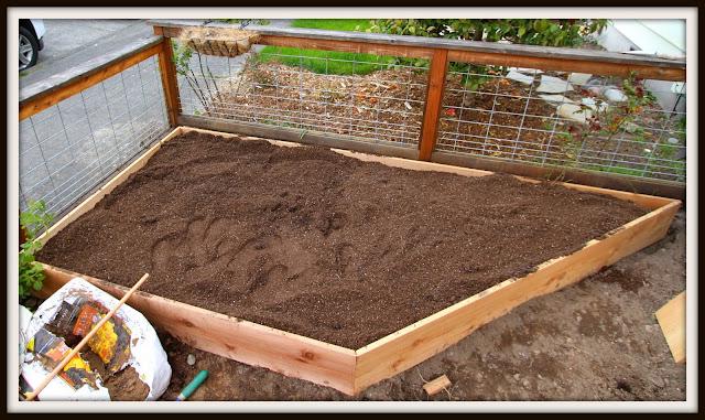 A gardener preparing a garden for seasonal transitions, such as cleaning up spent plants, mulching, and protecting vulnerable flora.