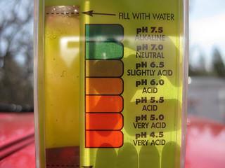 A gardener using a soil testing kit to measure the pH levels and nutrient content of garden soil