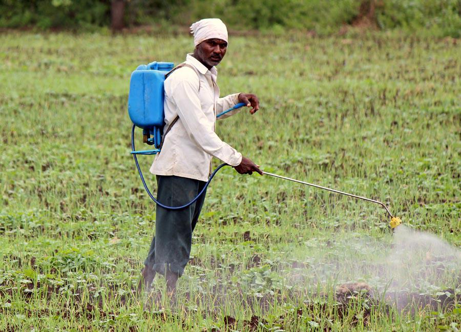 A gardener applying insecticidal soap spray to plants affected by soft-bodied pests like aphids and spider mites.