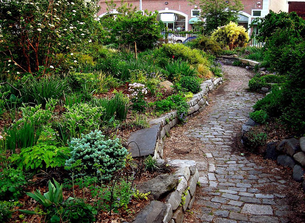 A narrow side yard transformed into a charming garden path, featuring stone pavers, lush plants, and decorative elements