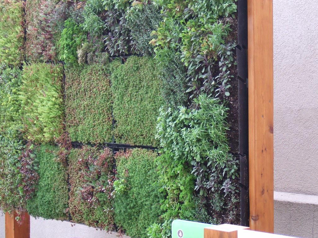 A vertical garden featuring a variety of plants growing on a trellis and in hanging planters, maximizing the use of vertical space in a small yard